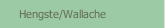 Hengste/Wallache